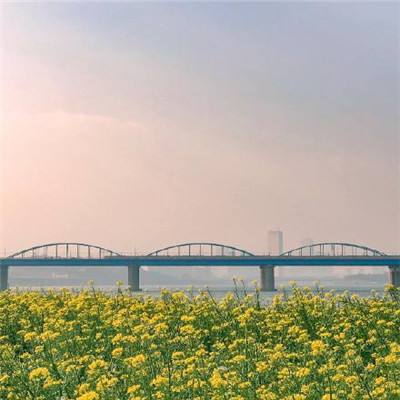 纽约期银日内涨3%，现报71.45美元/盎司。
